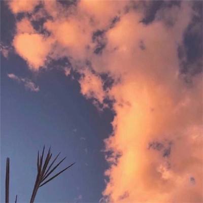 口袋数码游戏下载