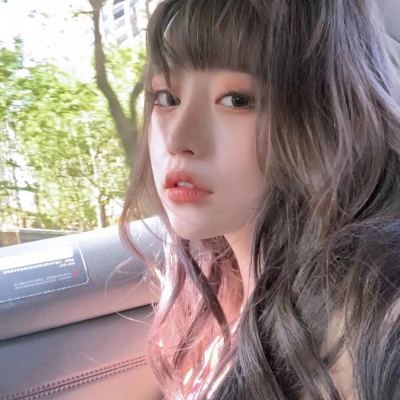 动物派对乐园官方版下载